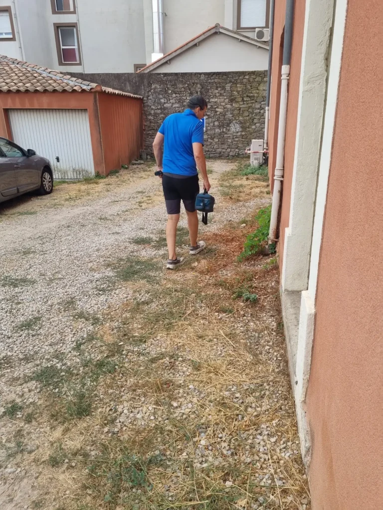 Recherche de la zone source de l'invasion de fourmis